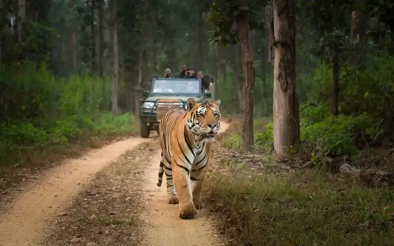Kanha National Park